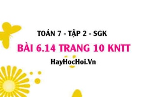 Bài 6.14 trang 10 Toán 7 Tập 2 Kết nối tri thức